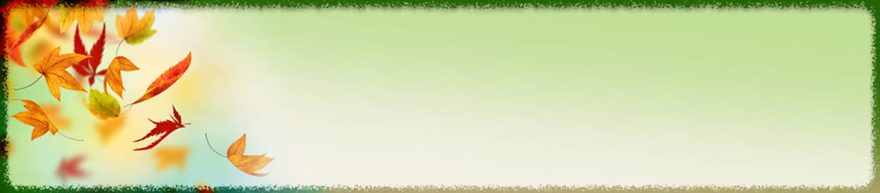 #nivo2 Untitled Header Image